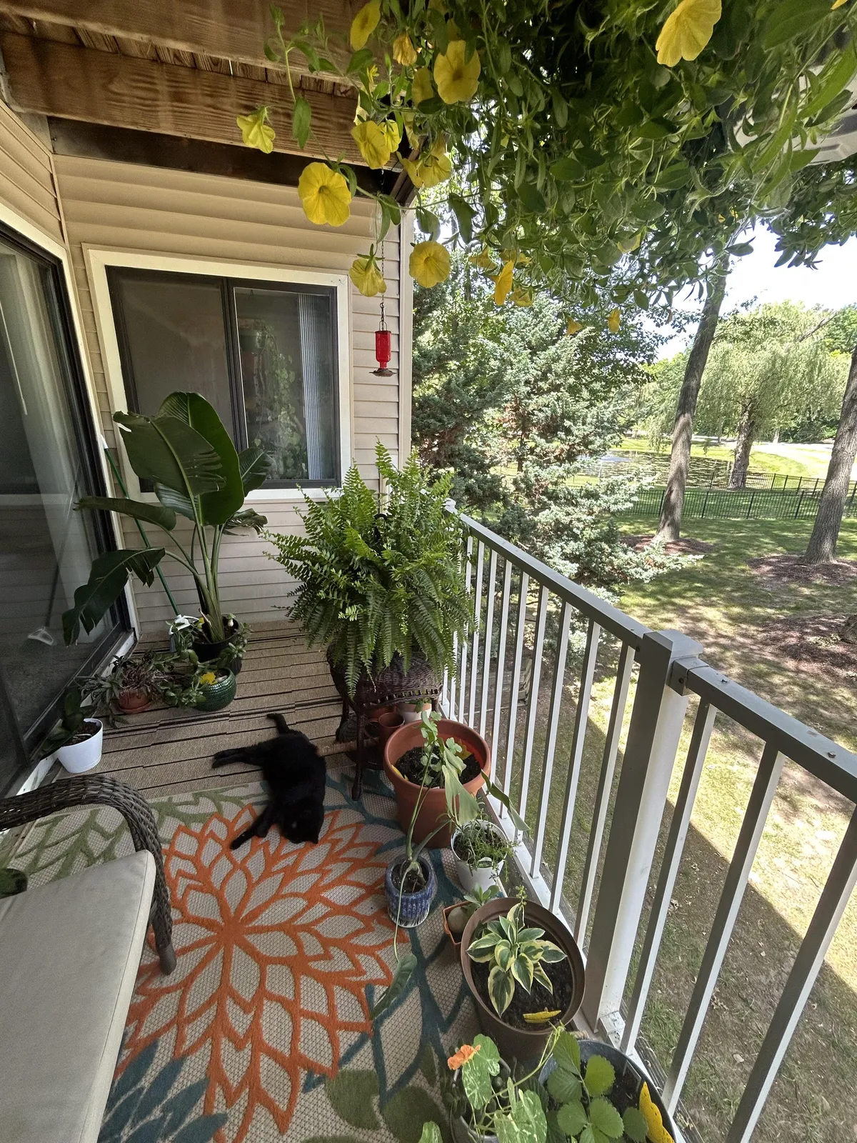 my apartment balcony