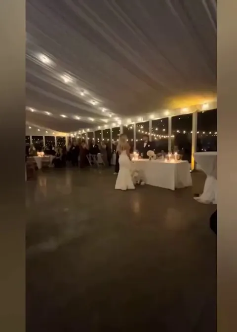 He realized it was too late to run