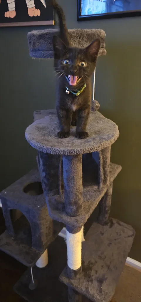 I am small but mighty