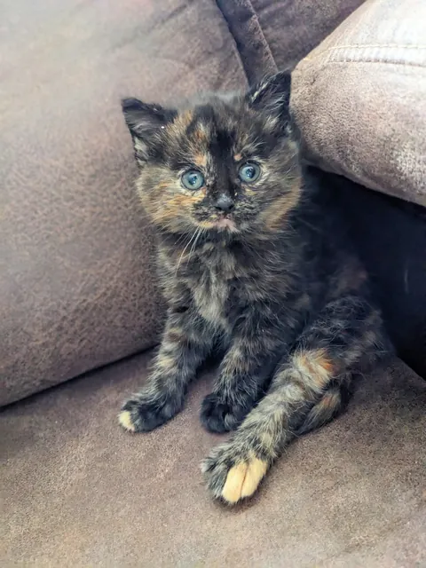 Update #2 - Elsa the ice princess is a celebrity!