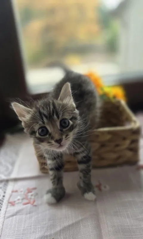 A brief pause in your feed for some cuteness