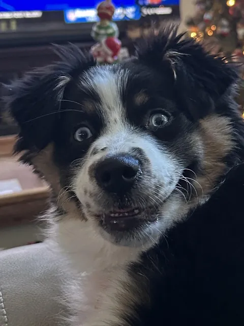 The moment I knew she was the one