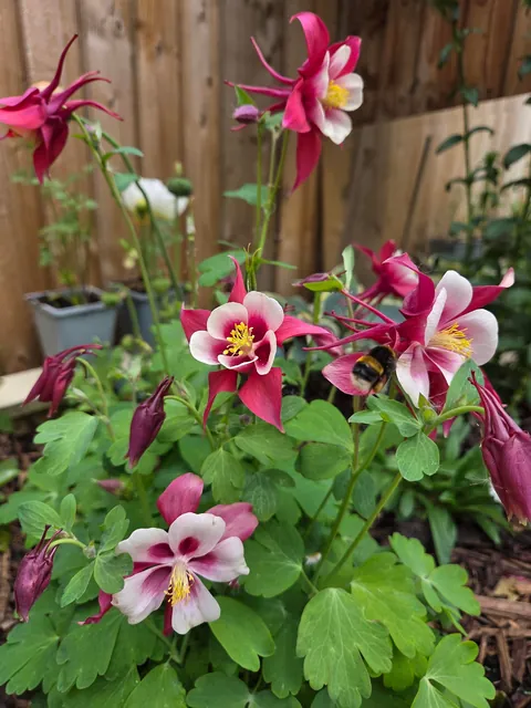 For the lovely soul who stole my photo, here are more.