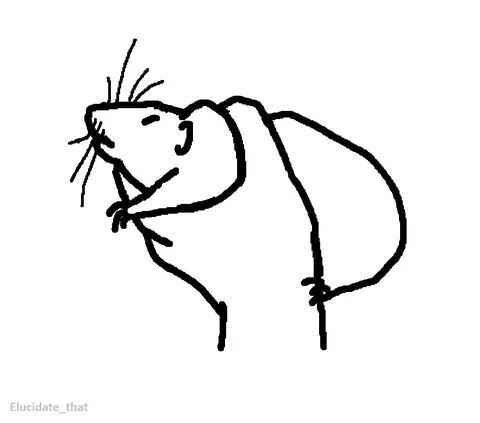 If the election is stressing you out, here are more drawings of some of your goofiest rats