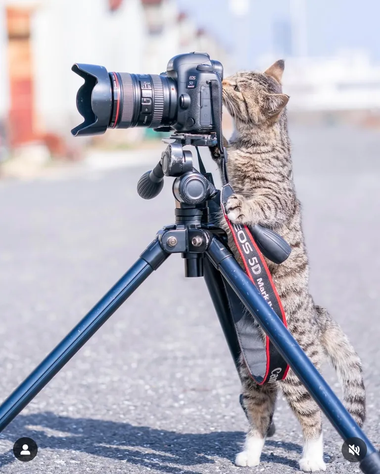 photographer.