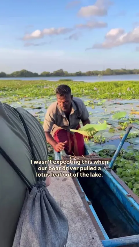 Learning about lotus leaves