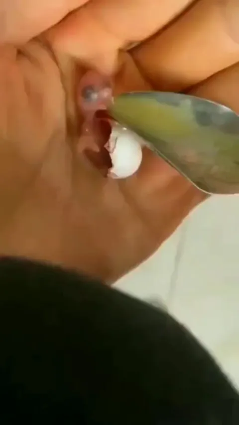 Guy raised this bird from birth