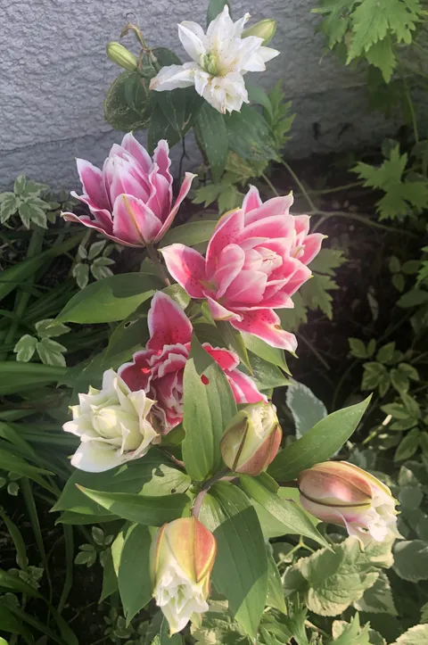 Eeee I’m so happy! 