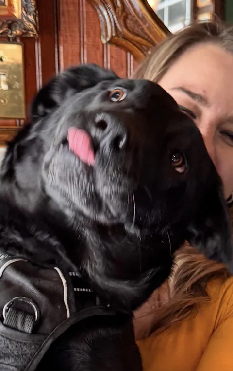 The new Lock Screen on my phone, puts a smile on my face immediately