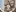 F20, Displaying my 200lbs curves