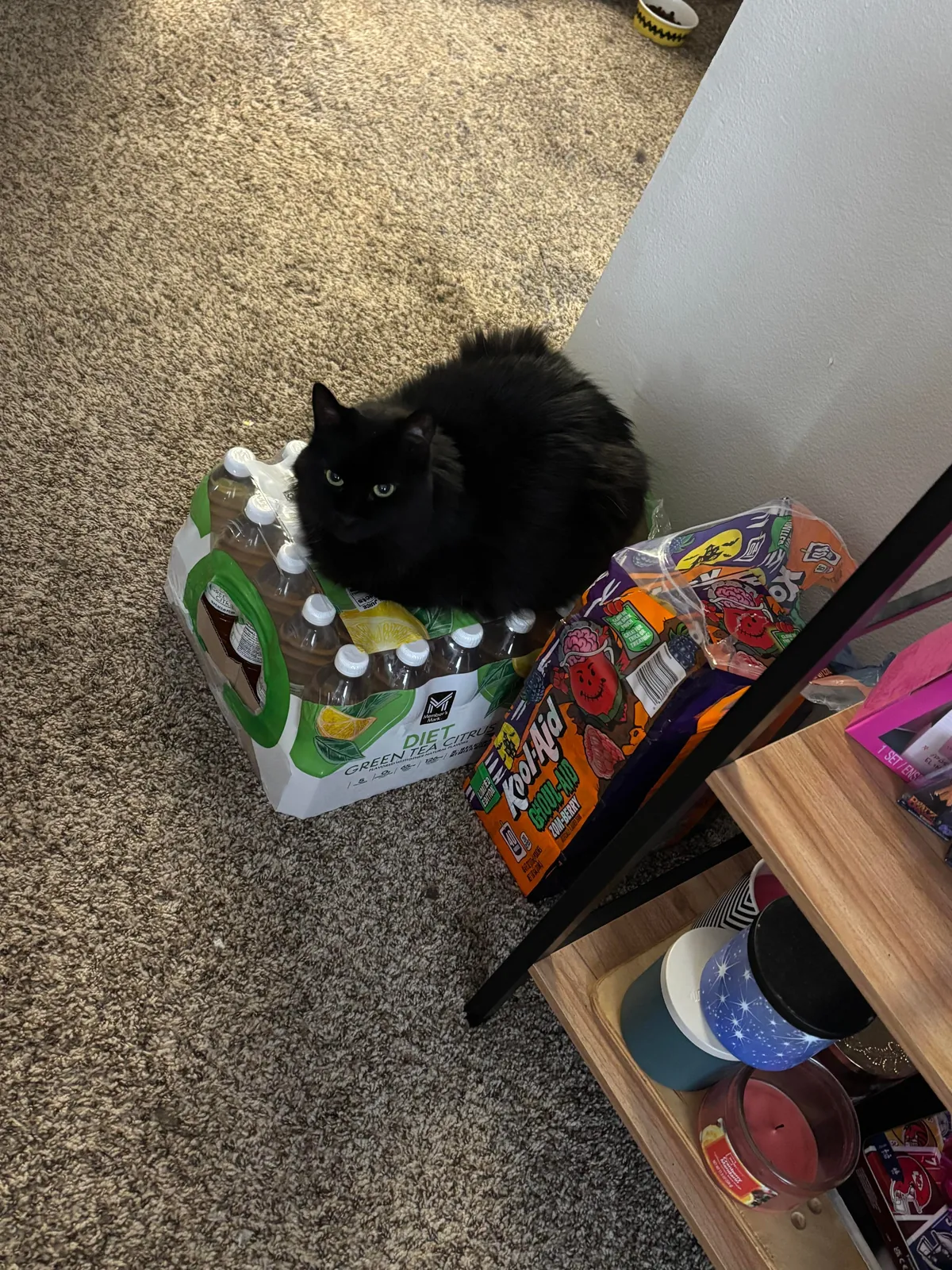 This is Whisper. She is 7 and we just got her from a spousal abusive household. She’s the best!