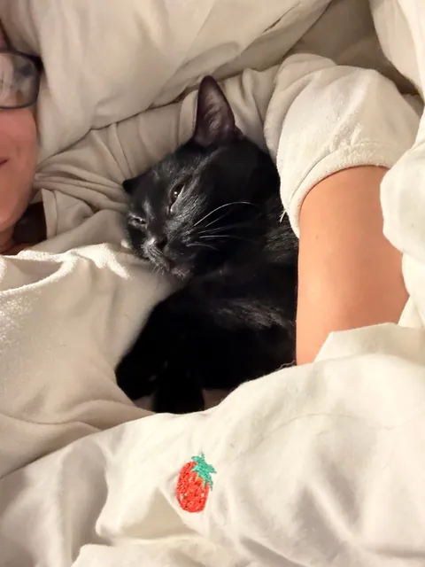 The best way to go to sleep 🥰