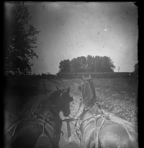 the dry plate negative saga continues