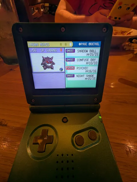 145 Hours On Pokemon Fire Red Before the Elite 4, Here's My Team!