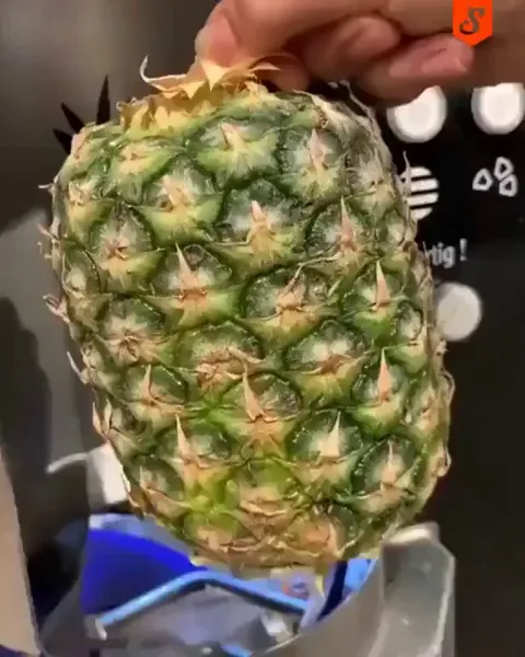 German pineapple slicing machine.