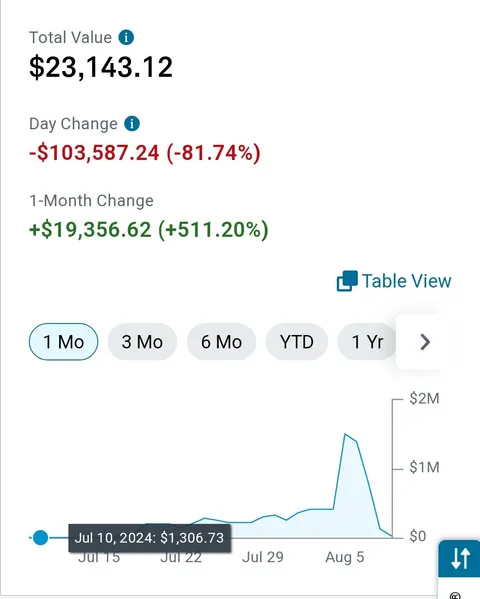World's quickest million-dollar round trip