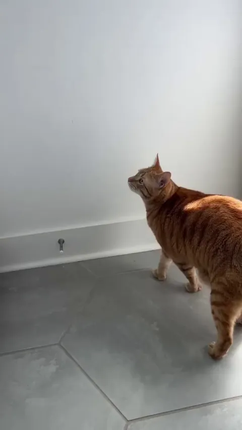 He is overthinking it