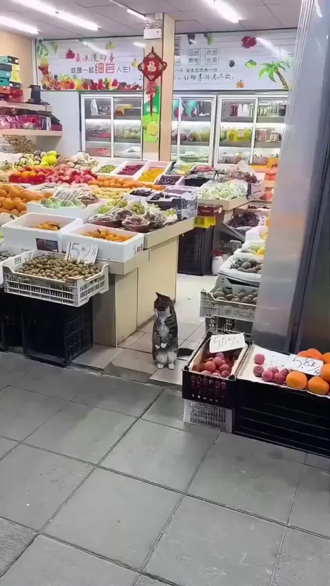 Staff is clocked in. Customers are MIA. Someone’s getting a performance review "Employee"