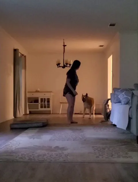 Old dog enjoys playtime (after new baby goes to bed &amp; she can have mom all to herself again)