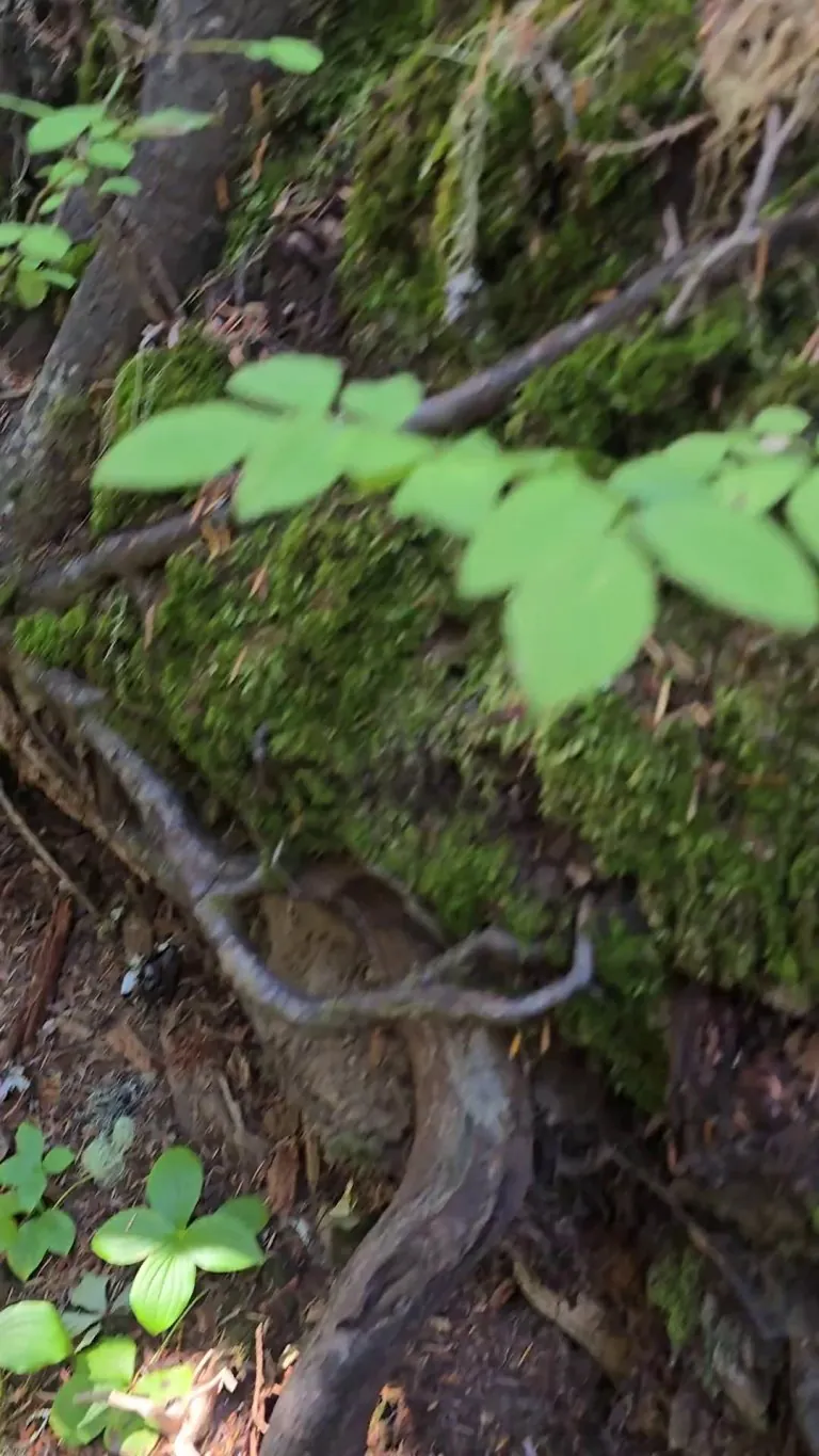 Hiding from Millie, Pt. 2