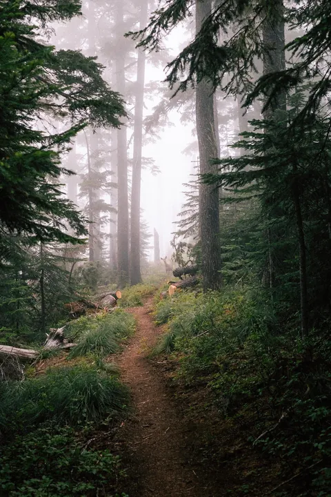 I hiked 2650 miles from Mexico to Canada on the Pacific Crest Trail