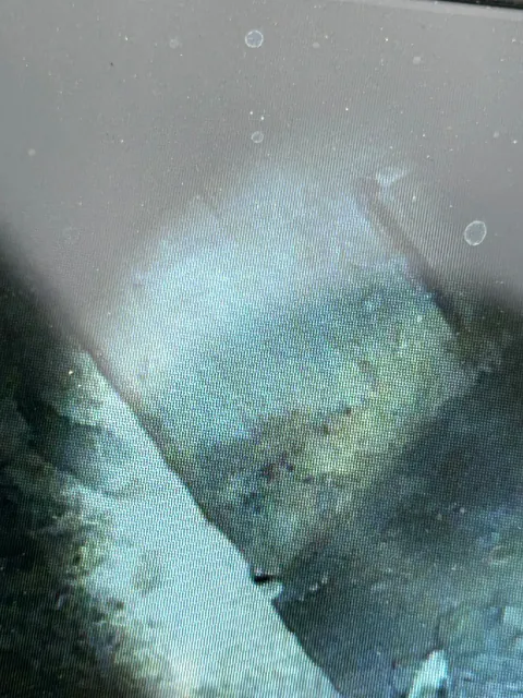 Found a sinkhole at work, found a bunker inside the sinkhole.