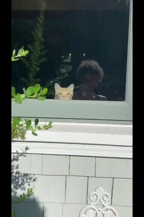 Kitty got caught creepin' so he totally nonchalantly ducks out with "the elevator" move.