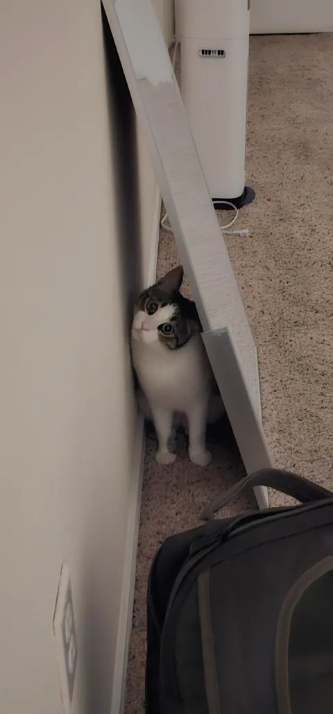 After encouragement from you all, I adopted my first pet, Adam.