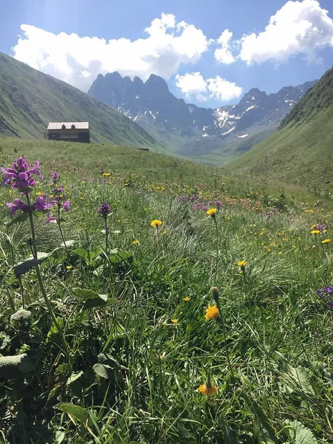 From my recent trip to Georgia, in the village of Juta.