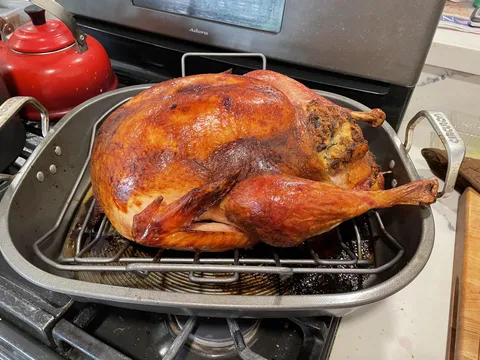 [Homemade] Thanksgiving Practice Turkey