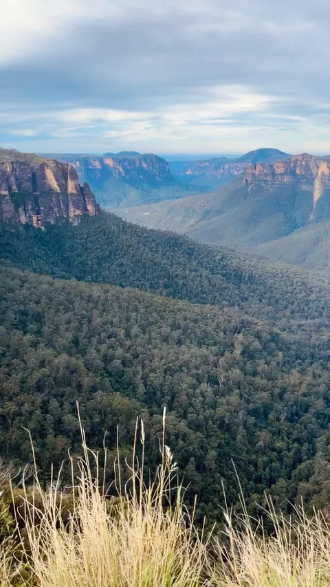 Blue Mountains, NSW, Australia (OC, 974x1732)