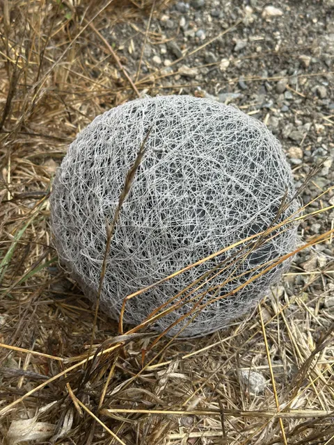The way this inflatable playground ball has disintegrated behind my son’s school over the years