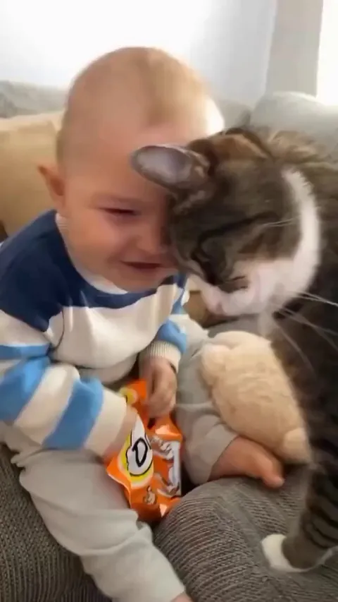 This is how they greet eachother whenever they meet