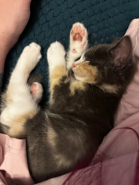 My new daughter❤️