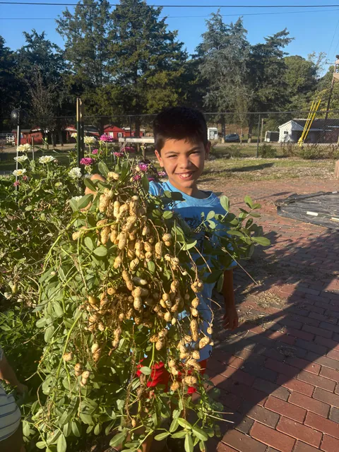 favorite harvest of the year