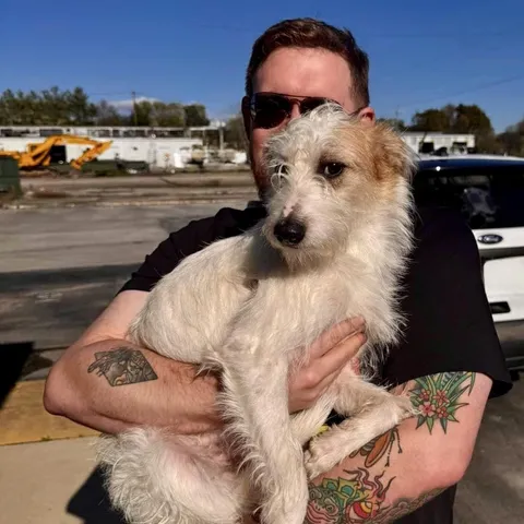 Got to meet this heckin’ good boy while volunteering at the shelter, he kept trying to run out of the lobby door! 