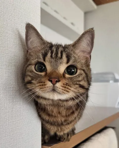 Look at me and feel blessed.