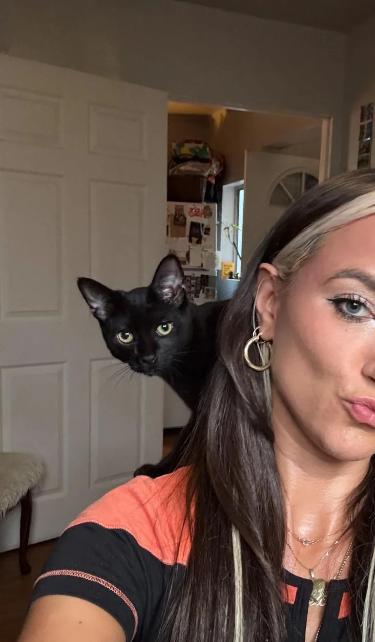 Because it’s that time of year, show me your beautiful familiars! 🖤🐈‍⬛