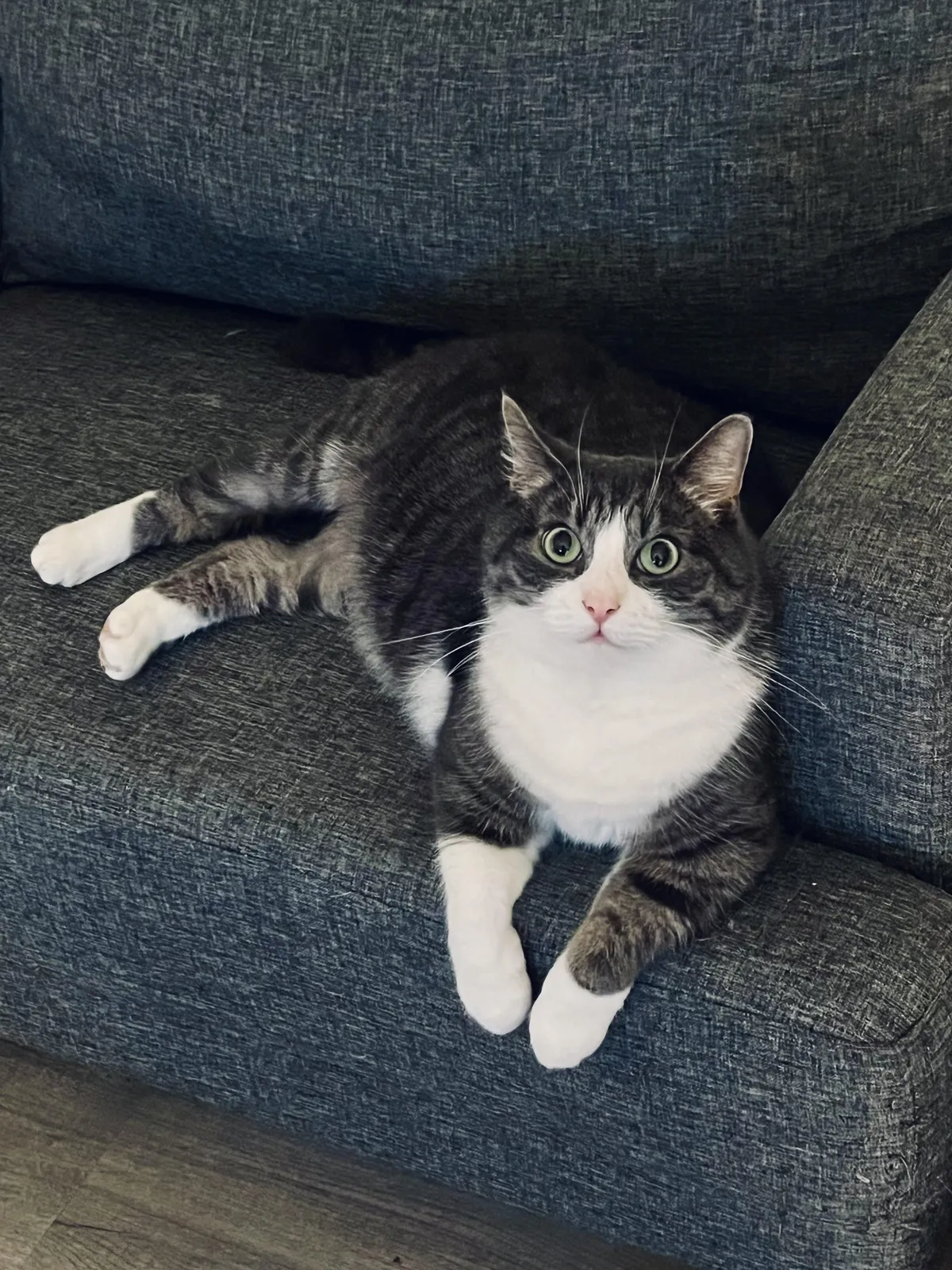 I bought my best friend for 20€ exactly 10 years ago.