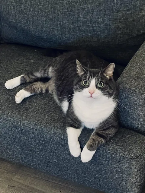 I bought my best friend for 20€ exactly 10 years ago.