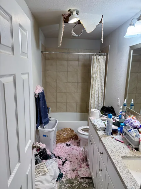 Fell through my ceiling. Trying to fix it before the wife wakes up.