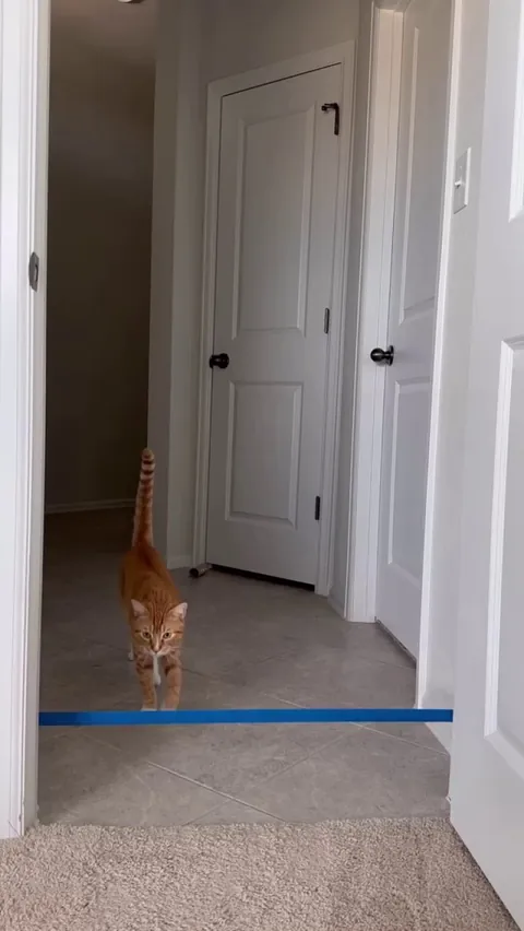 Going for a new world record 😁