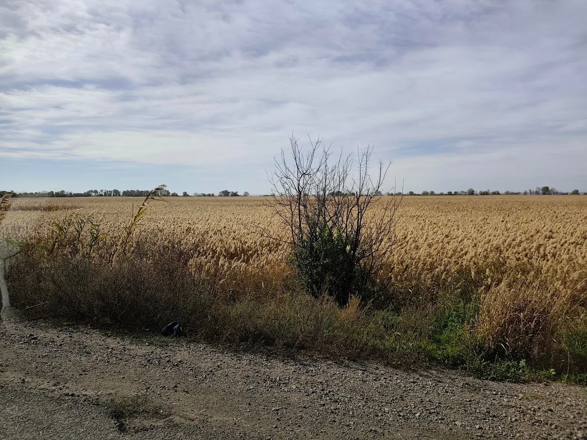 Trip to Odessa, Ukraine (October 2025)