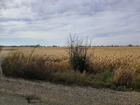 Trip to Odessa, Ukraine (October 2025)