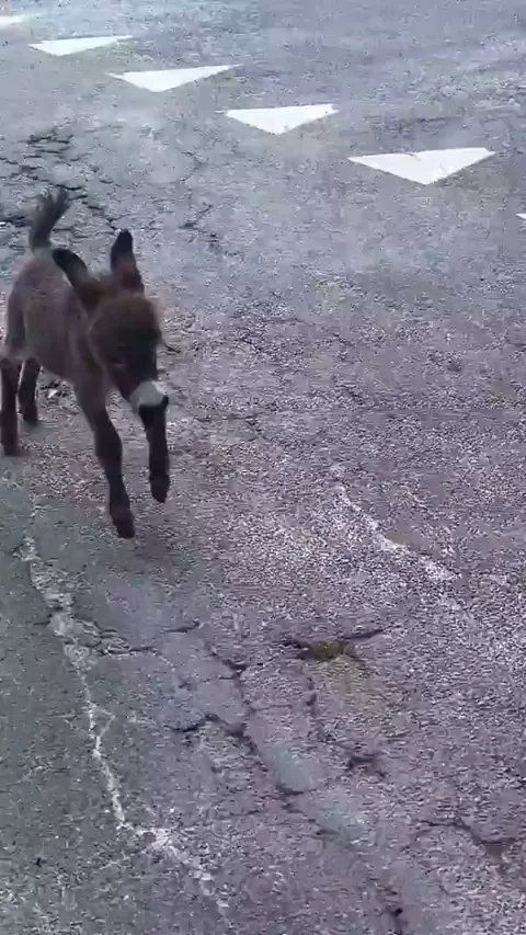 "Hello, World! Just 2 days old