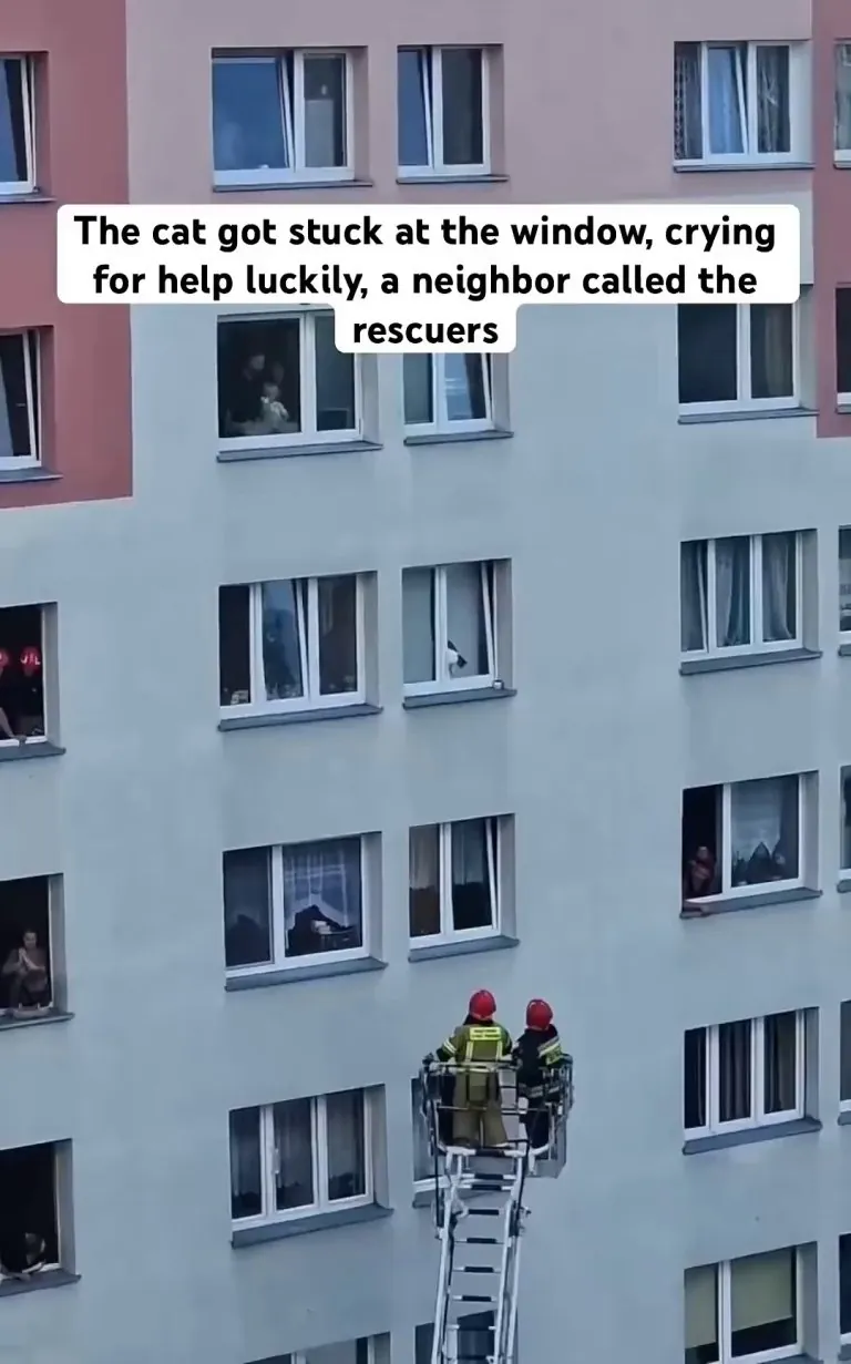 Kindness arrives on time