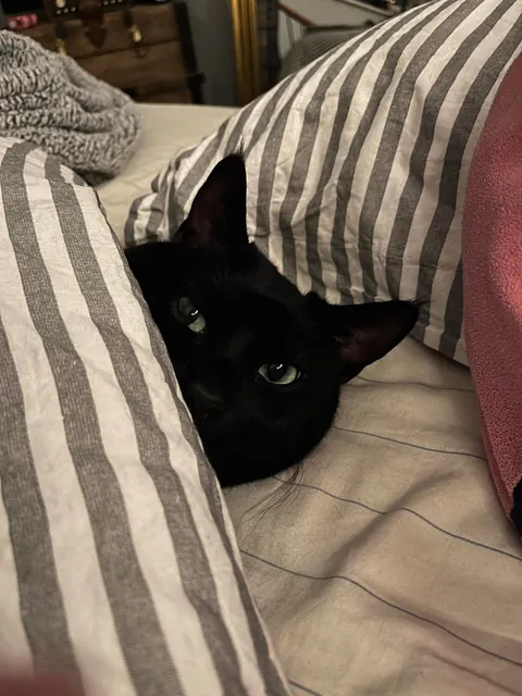 Being a void is exhausting