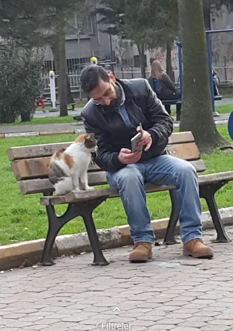 What Are They Looking At?