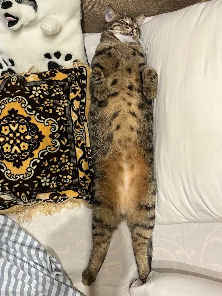 Mondays hit him hard