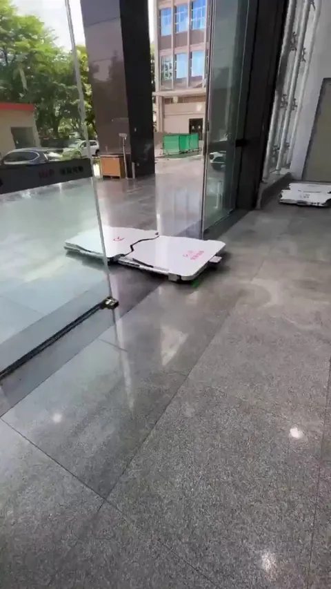 Autonomous valet robot parking cars